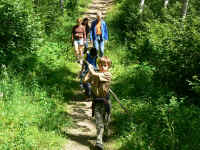 Hiking7-16-2006 2-16-59 PM_0089.jpg (192011 bytes)