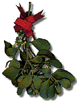 mistletoe2.gif (17868 bytes)